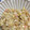 茶々くりこ。's cooksnap of when they made ＊ナルトと卵と葱だけの炒飯＊.