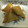大魔女's cooksnap of when they made 春巻きの皮で。簡単サモサ2種.