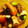 たま１１２０'s cooksnap of when they made 簡単！トマトとタコのオリーブ炒め！.