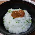 CooKまるのすけ's cooksnap of when they made 炊飯器で作る！七草粥.