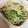 U_Uumi☆'s cooksnap of when they made もやしと豆苗の和え物.