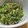 daikanon's cooksnap of when they made *:.ご飯すすむ簡単ｶﾌﾞの葉炒め.:*.