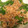 ゆっきん♪'s cooksnap of when they made ☆簡単♪あみえびとピーマンのサッと炒め☆.
