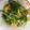 ☆アンシェル☆'s cooksnap of when they made 水菜大量消費♩炒り卵中華サラダ★.