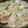 ねこはがき's cooksnap of when they made 簡単★ちゃんぽん野菜鍋.