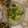 Yongren's cooksnap of when they made レタスとじゃがいものサラダ☆.