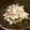 yukko2810's cooksnap of when they made ⅲ数の子リメイク（白和え）.