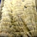 みやみやんひななやん's cooksnap of when they made 失敗知らず！シルプル餃子.