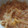 とも☆♪☆♪'s cooksnap of when they made 白菜とツナのトロトロ煮♡.