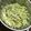クックO4A02F☆'s cooksnap of when they made ダイエットに☆千切りキャベツの納豆サラダ.