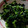 緋色98's cooksnap of when they made ほうれん草のり和え.