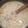Lucysan's cooksnap of when they made 疲労予防！簡単、美味しいクラムチャウダー.