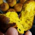 ぐみぐみさやか's cooksnap of when they made 毎日のおやつ☆パンプキンドーナツ.