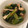 クックJAMO☆'s cooksnap of when they made 小松菜と薄揚げの煮浸し.