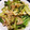 クックY08S17☆'s cooksnap of when they made 豚とキャベツとえのきのオイスタソース炒め.