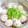 mammamiwa♪'s cooksnap of when they made おうち飲茶✣里芋と豚ひき肉の蒸しだんご.