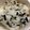 さおにゃんこ✨'s cooksnap of when they made 乾燥カットわかめで♪わかめご飯.