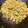 クック3MS31R☆'s cooksnap of when they made 豚バラ肉・玉ねぎ・ブロッコリーカレー炒め.