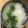 nanacocoz's cooksnap of when they made ヘルシー！さらさら食べられる七草がゆ！.