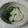 イチゴ、イチゴ。's cooksnap of when they made 春近し＊菜の花のみぞれ和え。.