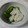 イチゴ、イチゴ。's cooksnap of when they made 春近し＊菜の花のみぞれ和え。.