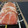 ダイナマイト漆黒's cooksnap of when they made 簡単♫生ハムとかぶのサラダ.