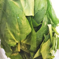 さゆよよまま's cooksnap of when they made ほうれん草 長持ち保存.