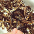 とりのひと's cooksnap of when they made 田作り 甘め♪.