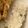 かせぃじん's cooksnap of when they made グリンピースご飯.