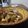 ダイナマイト漆黒's cooksnap of when they made 獅子唐と鶏肉の生姜味噌焼き浸し.