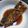 酒を飲みたい's cooksnap of when they made 料亭より美味しい漁師の味！簡単煮魚.