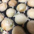 ネギがお好き's cooksnap of when they made たこ焼き 基本.
