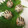 クックYJTSO6☆'s cooksnap of when they made 簡単可愛い♪うずら卵deいのしし/うり坊.