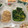 みゆwaco 's cooksnap of when they made 我が家のほうれん草の胡麻和え.