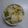 Yongren's cooksnap of when they made ビニール袋で簡単★八角香る白菜の和え物.