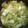 8324690's cooksnap of when they made 生姜たっぷり白ネギと白菜のスープ.