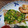 ♪KANON♪'s cooksnap of when they made 鯛のムニエル、ネギバターソースがけ.