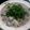 mmiwa's cooksnap of when they made 酒粕でほかほかお鍋！豚肉と野菜の粕鍋.