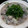 mmiwa's cooksnap of when they made 酒粕でほかほかお鍋！豚肉と野菜の粕鍋.
