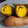 クック9U5RJR☆'s cooksnap of when they made 安納芋のおいしい焼き方☆.