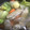 学校給食管理栄養士's cooksnap of when they made 鶏手羽先と彩り野菜のポトフ.