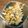 junmomoan♪'s cooksnap of when they made スーパーフード！菊芋のきんぴら♪.