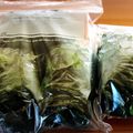 イシポン's cooksnap of when they made ホウレン草保存.