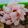 lovebird♡'s cooksnap of when they made 【簡単】キャラ弁 おかず 花ハム②.