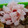 lovebird♡'s cooksnap of when they made 【簡単】キャラ弁 おかず 花ハム②.