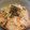 johnkunn's cooksnap of when they made 簡単混ぜ寿司☆.