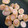 ＭＩＭＯＣＡ's cooksnap of when they made なるとのバター焼き♪.