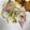 ma213ko116's cooksnap of when they made 白菜とシーチキンのマヨネーズサラダ.