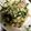 shion0907's cooksnap of when they made 豆苗と卵のウェイパー炒め.