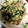shion0907's cooksnap of when they made 豆苗と卵のウェイパー炒め.
